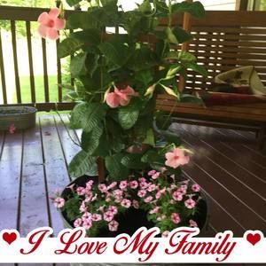 Meet your Posher, Louise